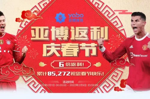 登录后畅玩平台的关键技巧